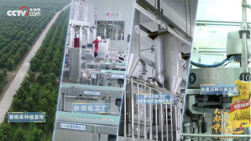 央視點贊洽洽透明工廠，數字技術賦能堅果冠軍的硬核實力